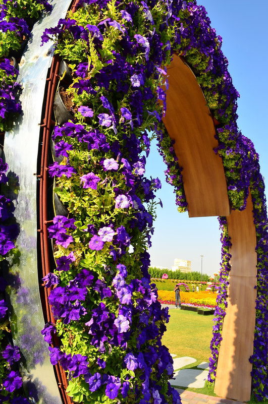 Dubai Miracle Garden - Руслан Безхлебняк