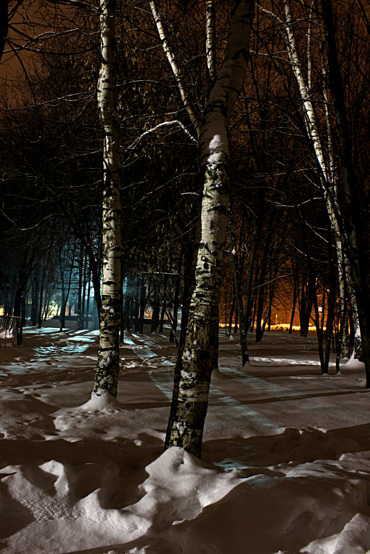 Зима в парке. - Андрей Чиченин