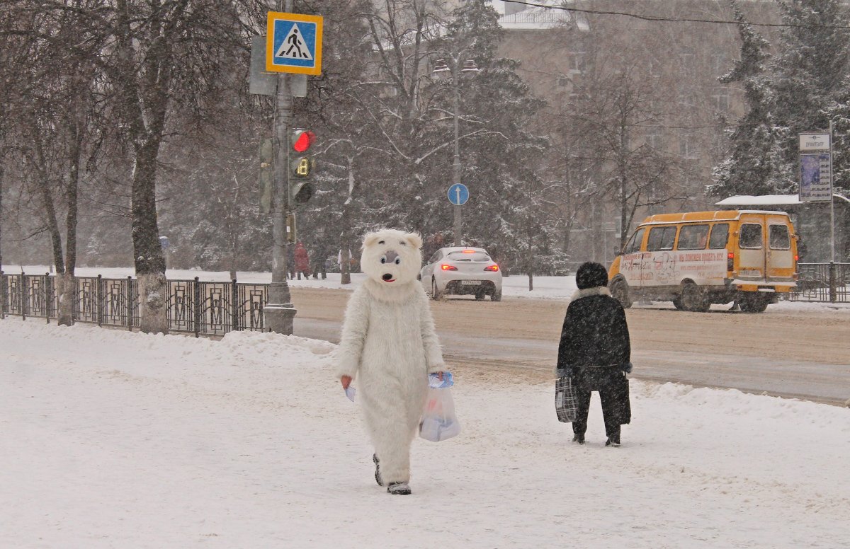 ..и пришла зима, и вышли медведи на улицы..))) - Александр Герасенков