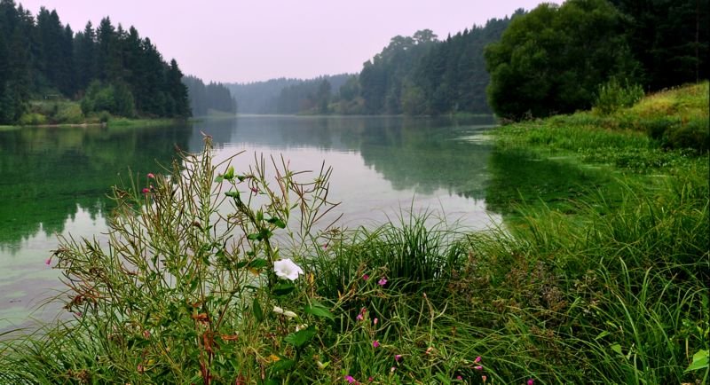 цветущая вода - Сергей Розанов