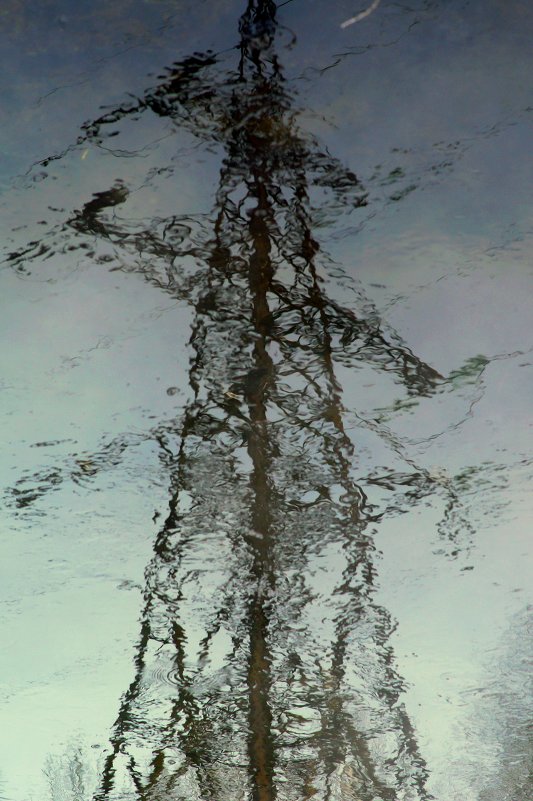 отражение в воде - Александр Шамов