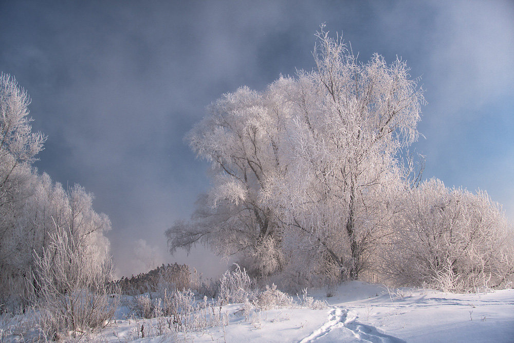Мороз крепчает - Олег Самотохин