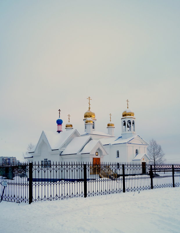 *** - Елена Перевозникова