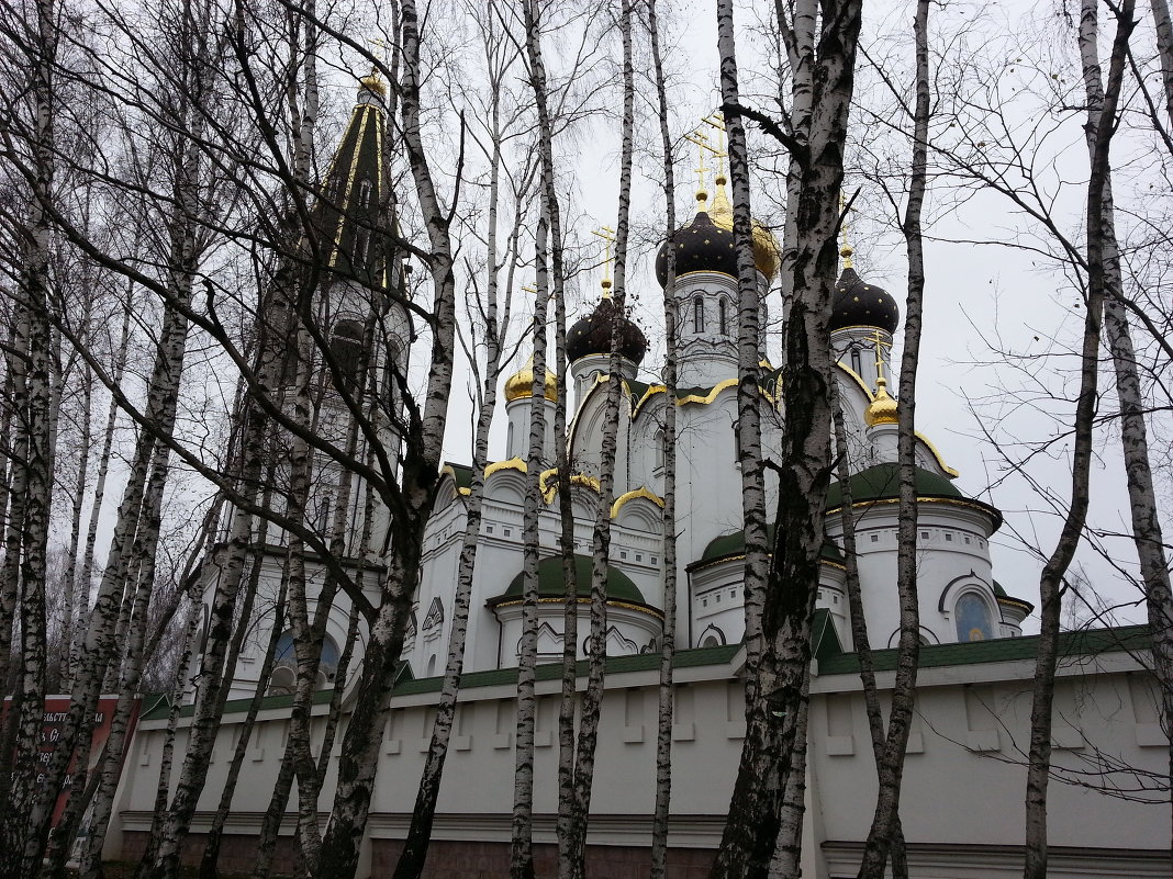 Храм. Павловская Слобода, моск., обл. - Николай Клементьев