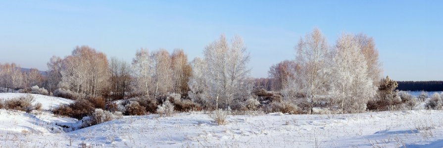 В зимнем наряде - Виктор Ковчин