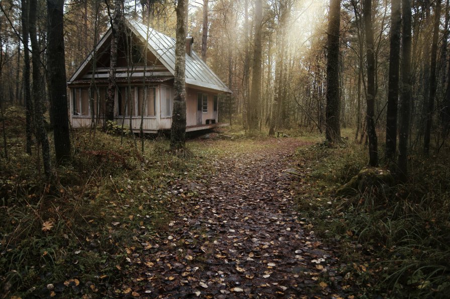 дом в лесу - Екатерина Тумовская