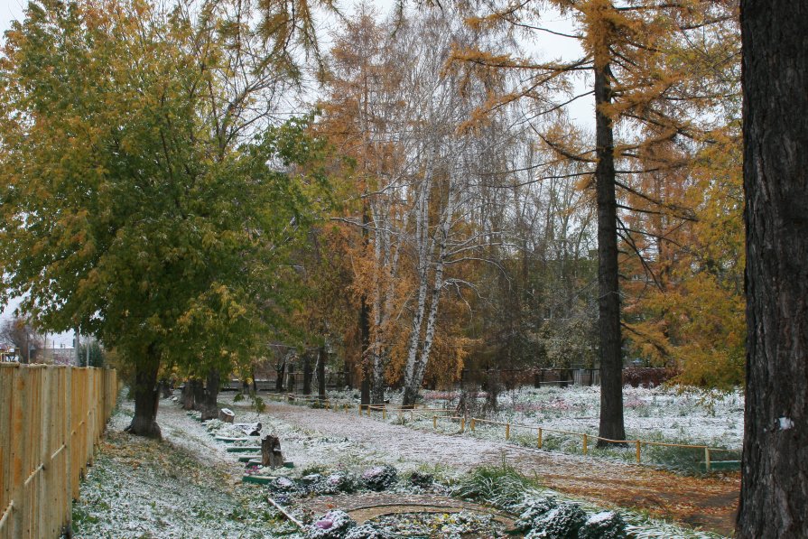 первый снег 2012г. - Владимир Попов