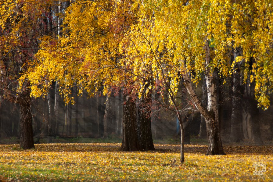 Осенний пейзаж - Денис Веселов