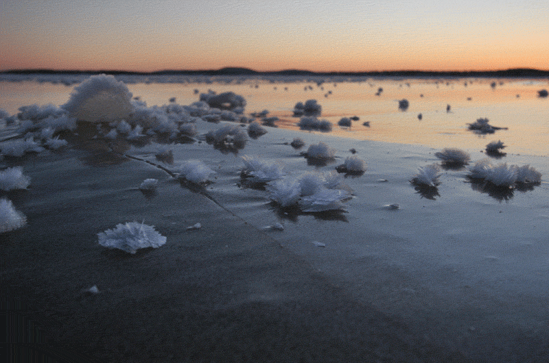 холодное Белое море - Marina Ogneva