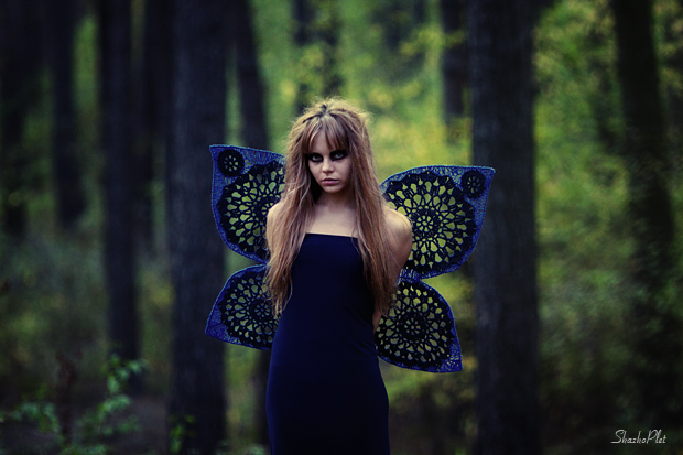 Бабочка темного леса - Катерина Мизева