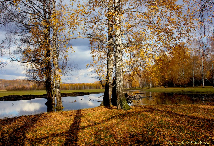 Осень-красавица - Любовь Шихова