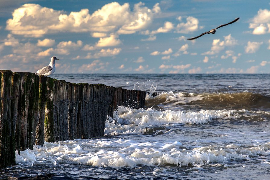 North Sea coast - Сергей Мясников