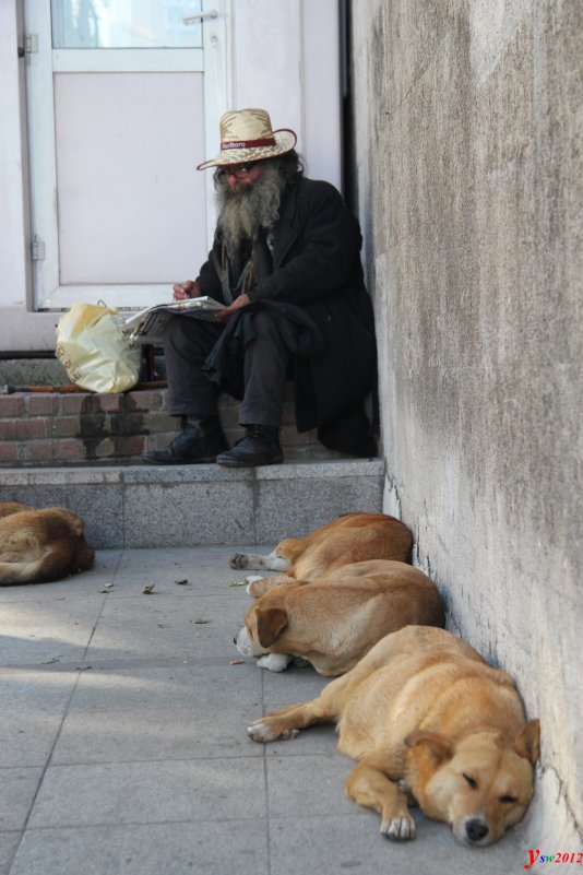 художник - Виктор Ян