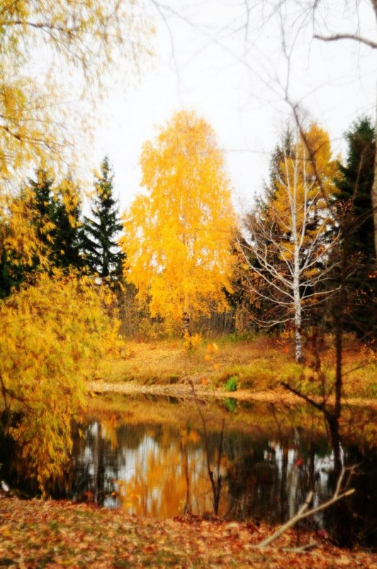 Золотая осень - Виктор Дмитриев
