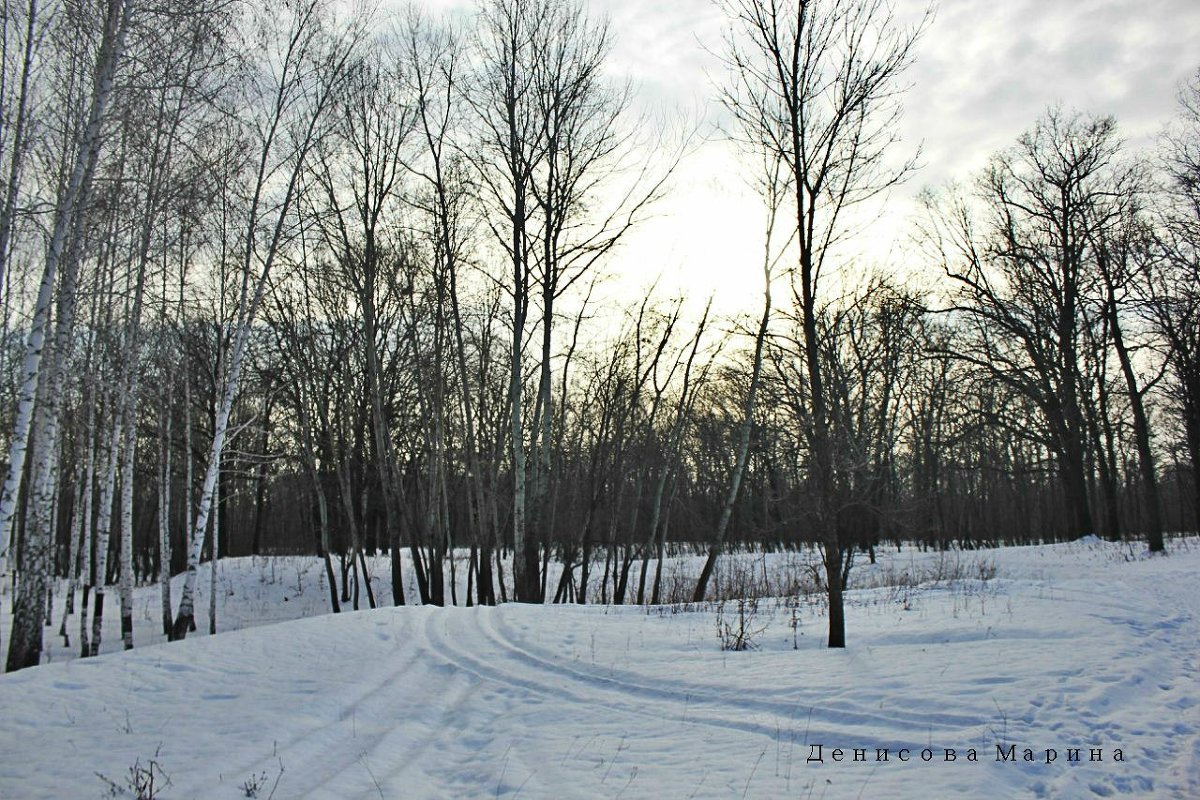 зима - Марина Денисова