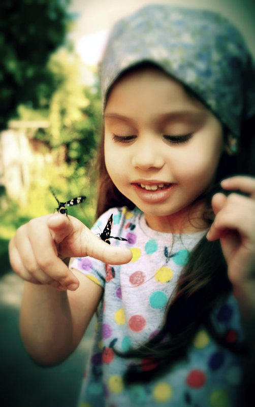 butterfly flight - Mariana 