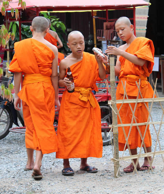 Таиланд. Сценка в монастыре - Владимир Шибинский
