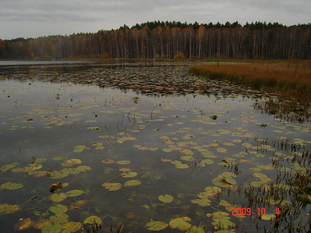 Озеро Линёво - Нина 