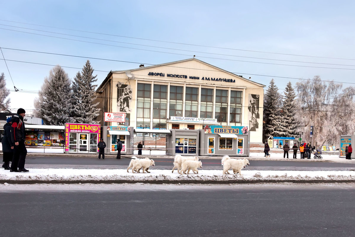 Омск, ДК им. Малунцева - Слава Перевертун