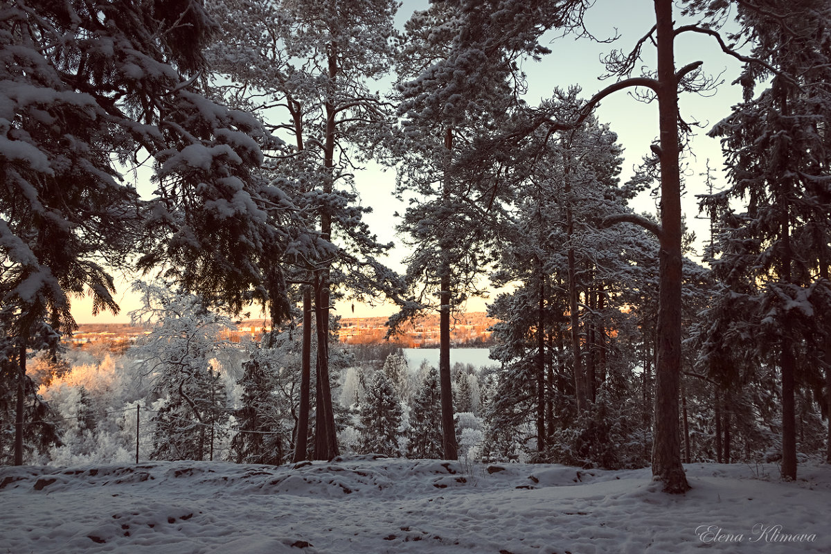 Поет зима - аукает, мохнатый лес баюкает... - Elena Klimova