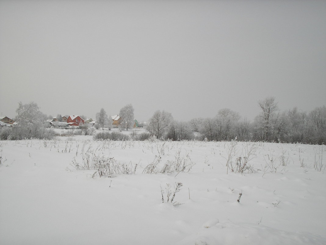 зима в деревне - Геннадий Репьевский