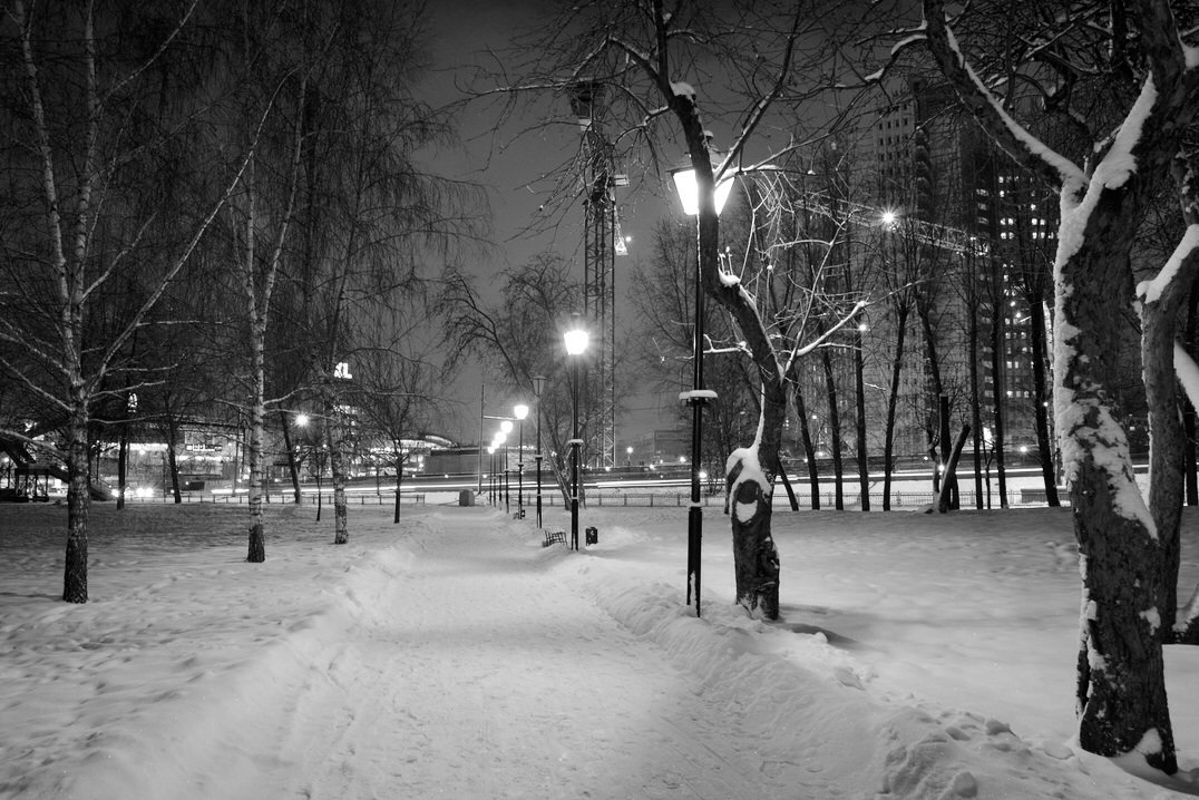 Зимний парк - Tatiana Poliakova