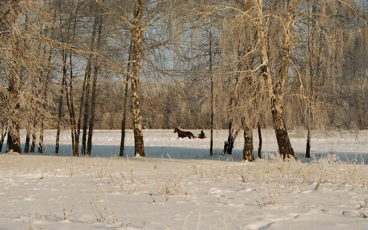 зимняя прогулка - Виталий Волков