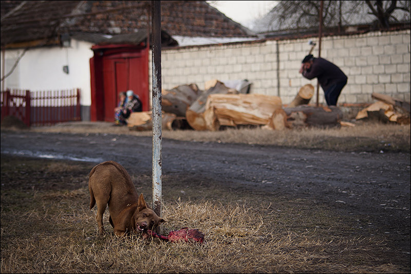 *** - Alexander Bendyukov