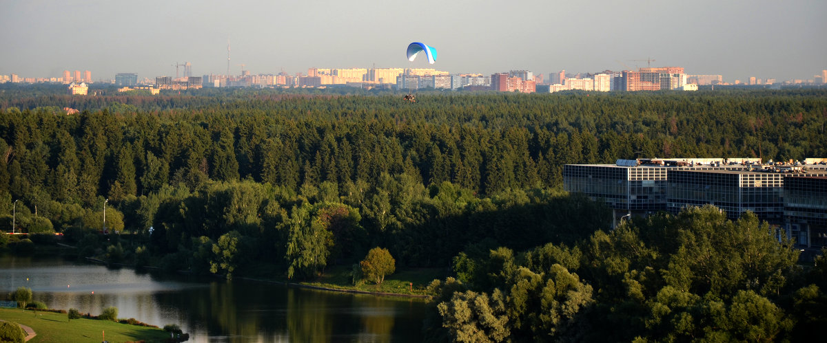 НЛО - Дмитрий Тимаков