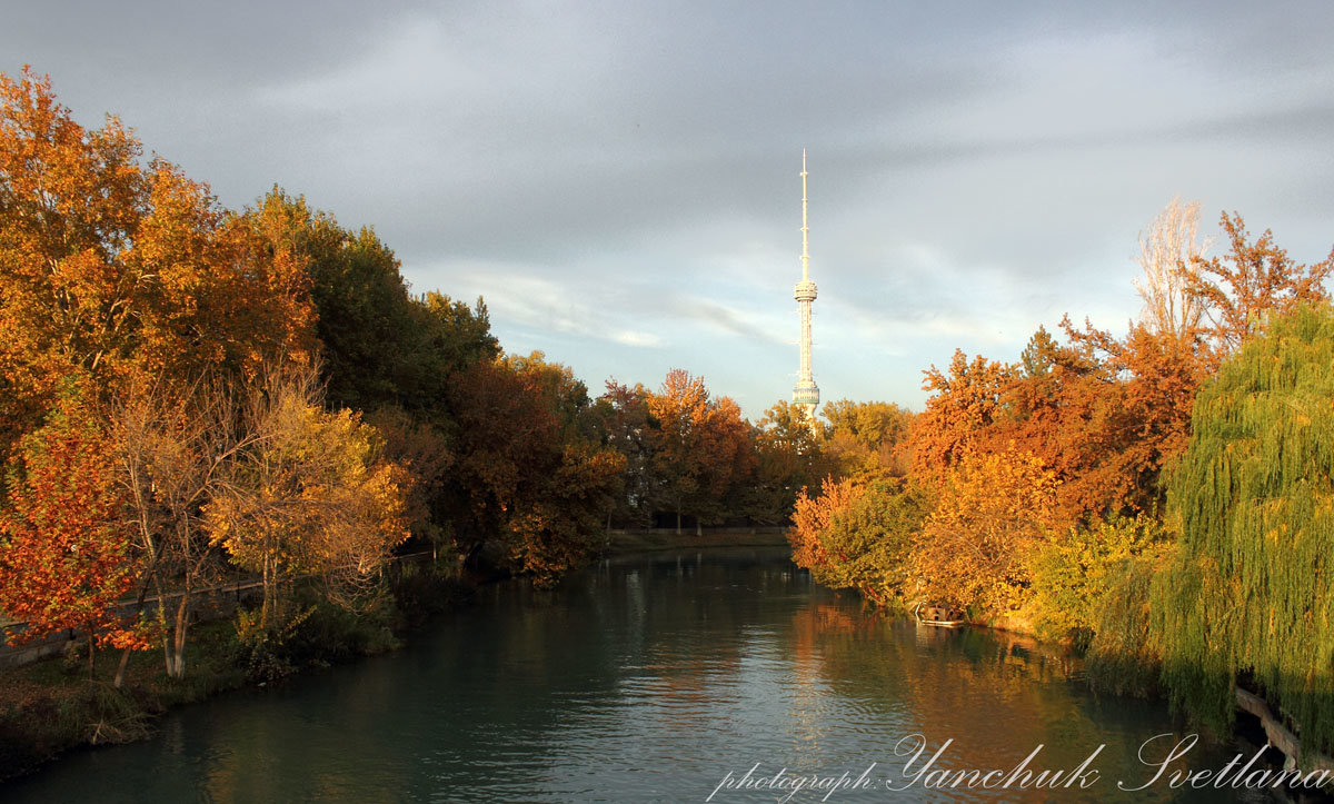 Осенний пейзаж - Svetlana 