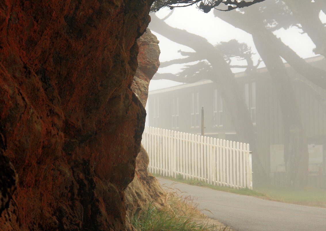 Дорога на Point Reyes - Размик Марабян