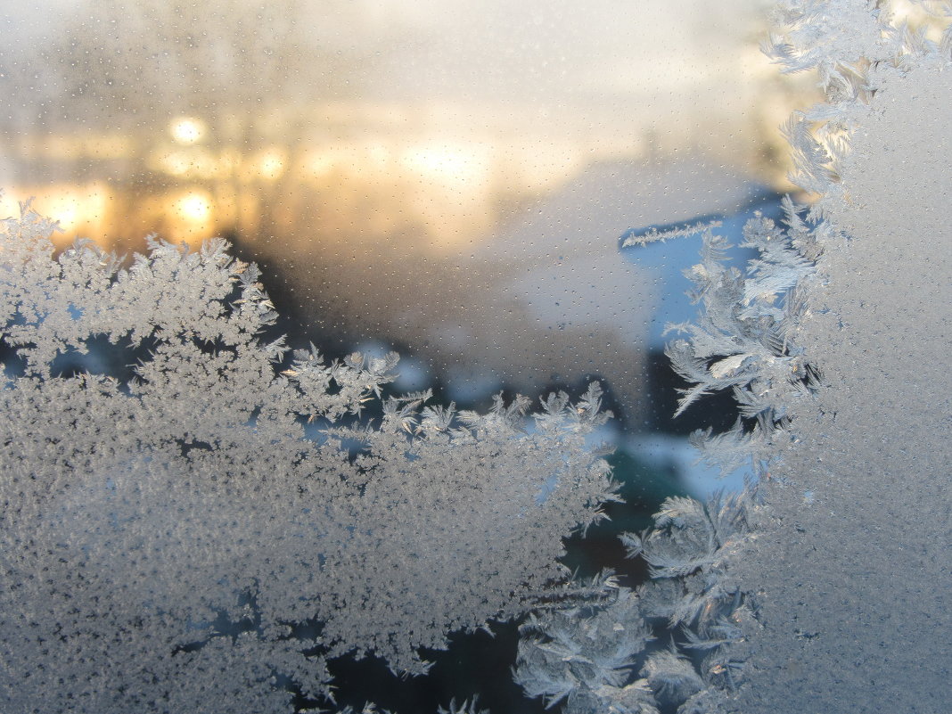 Зима, за окном - Фотиния М