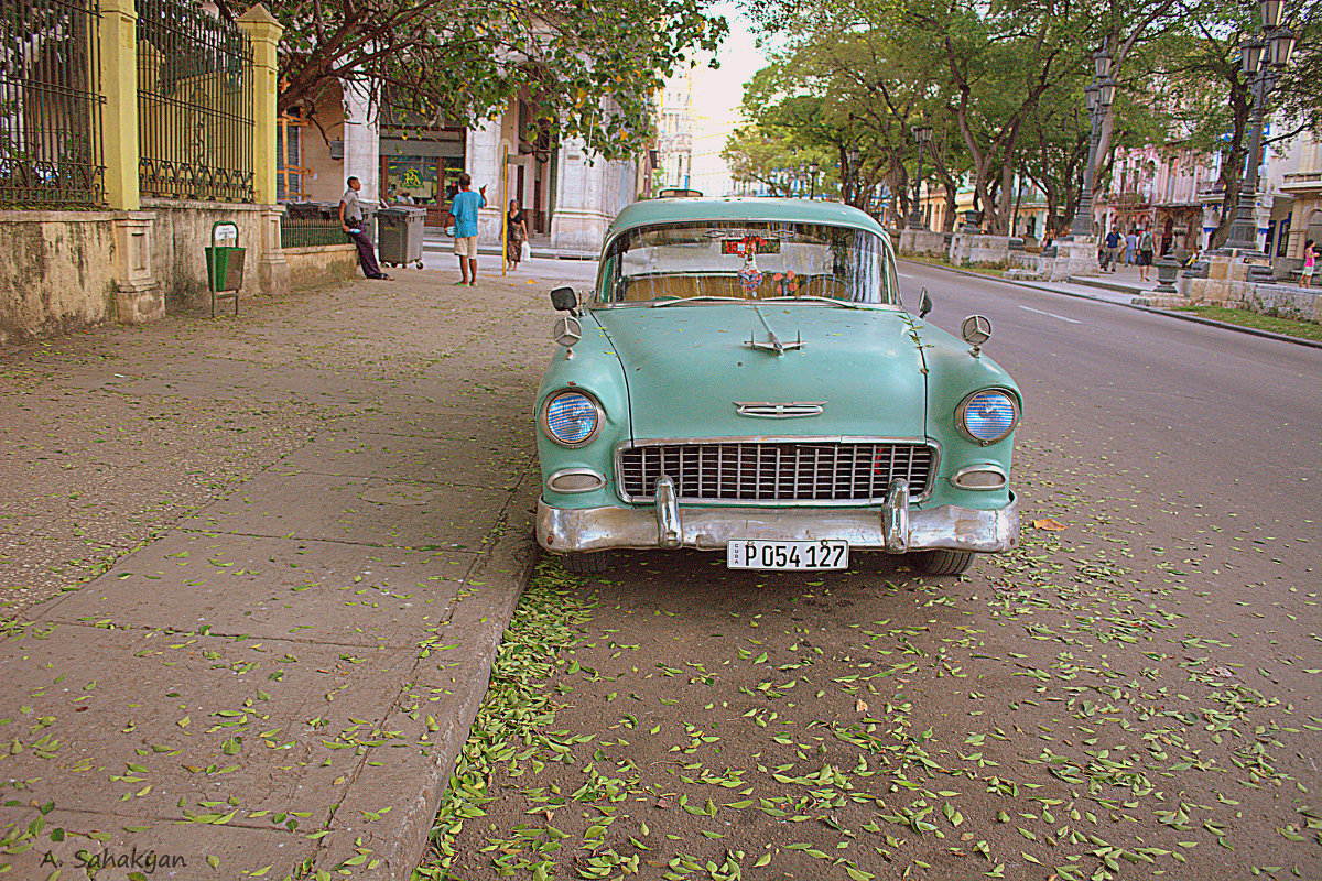 Green car and the leaves - Arman S