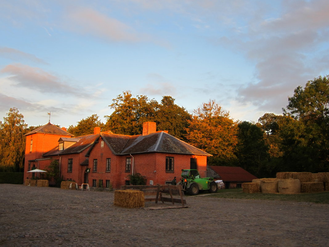 Harvest Market 2013-Aarstiderne - Janis Jansons