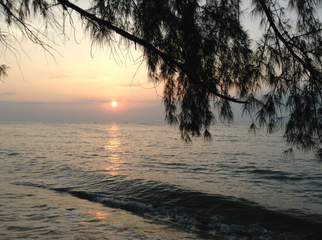 Samui sunset - Алиса 