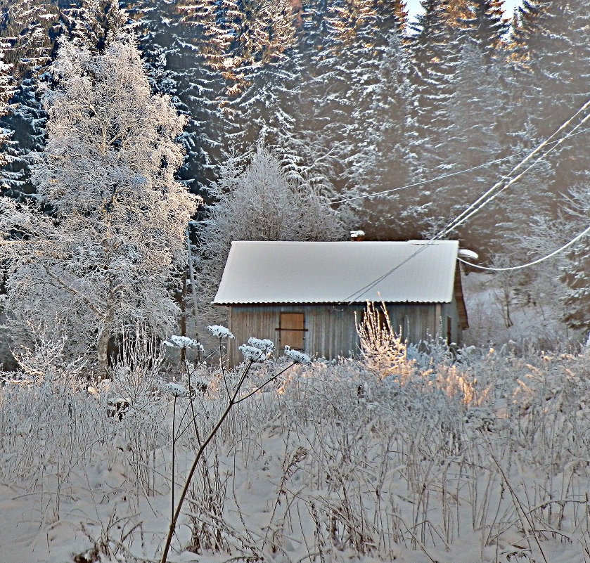 домик  у леса - Сергей 
