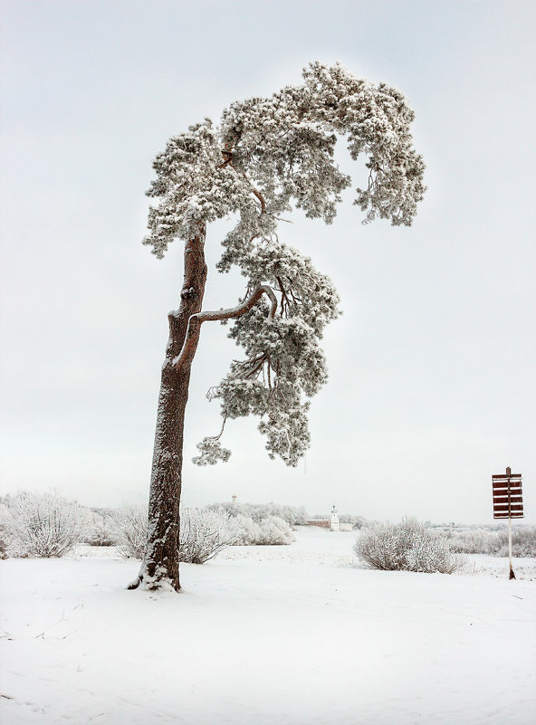 Уединение среди снегов - Евгений Никифоров
