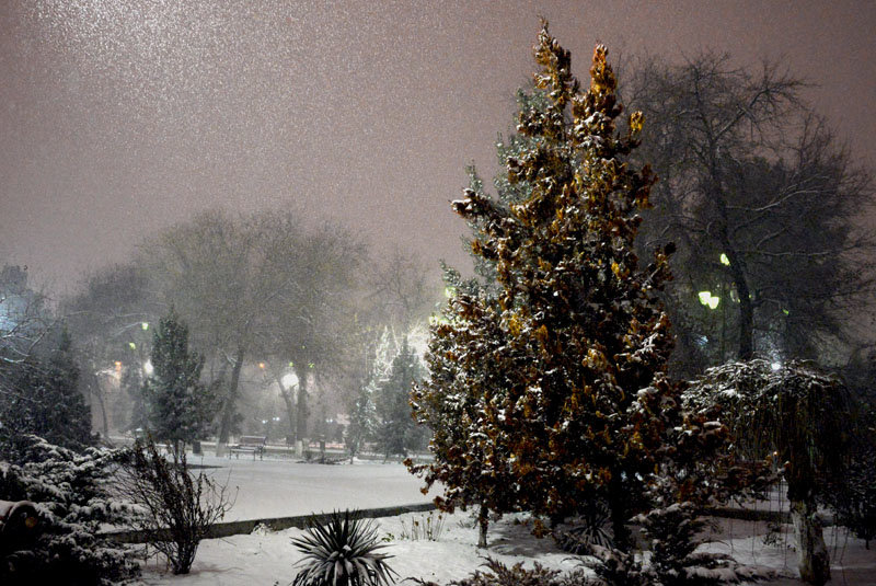 .... а снег идет. - Григорий Карамянц