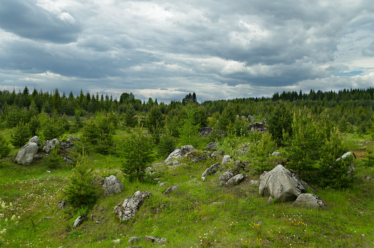 *** - Евгений Седляр