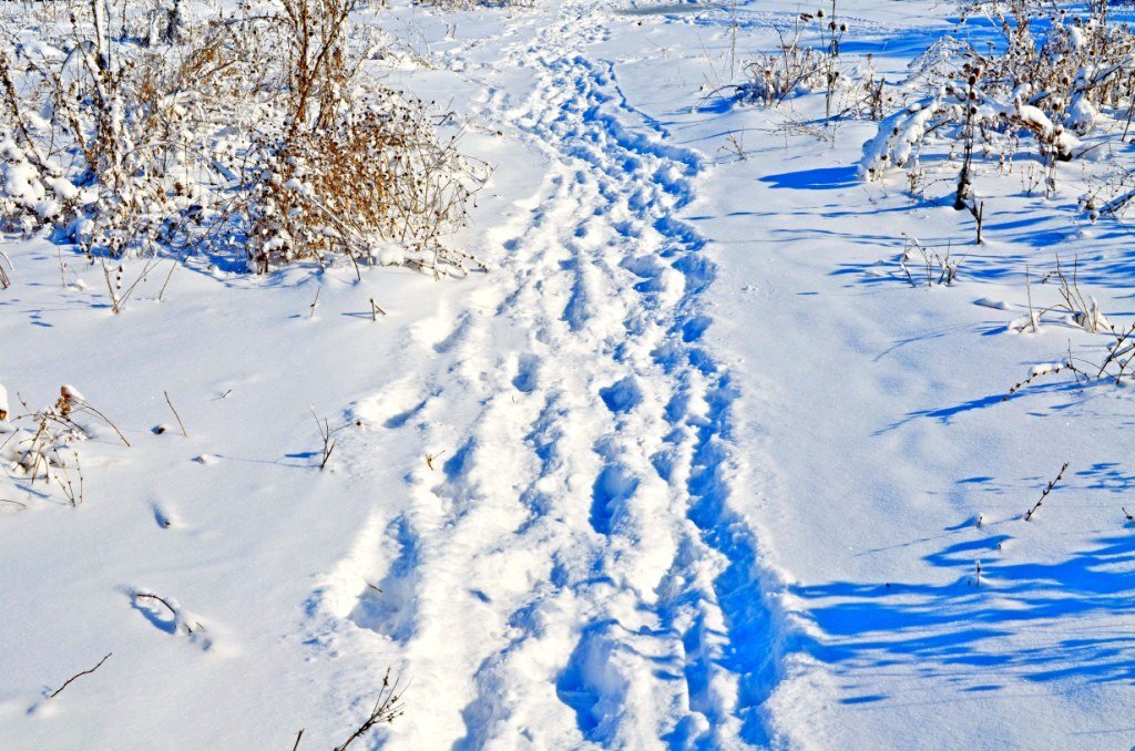 Зимняя прогулка - марина 
