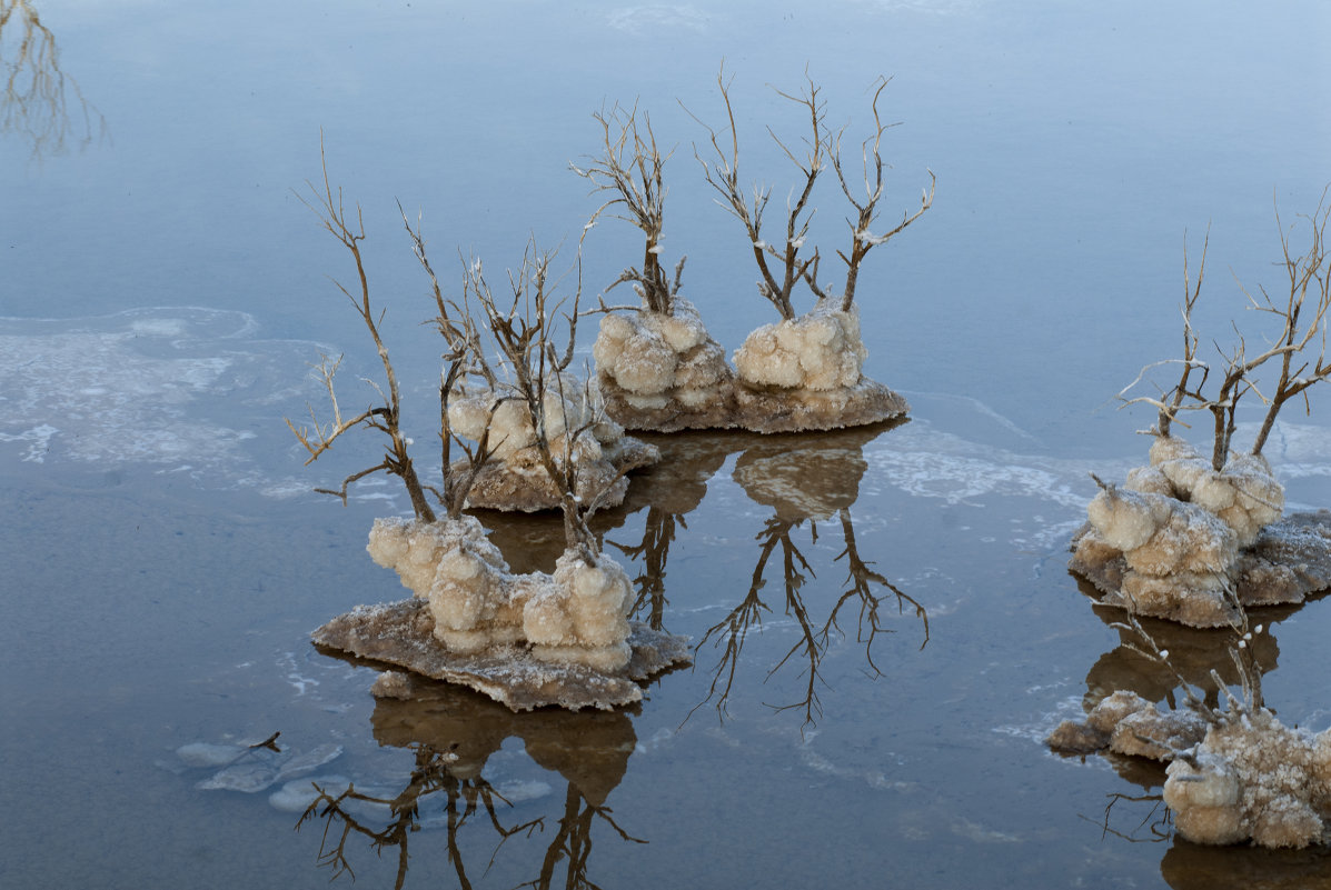 Мертвое море 1 - susanna vasershtein