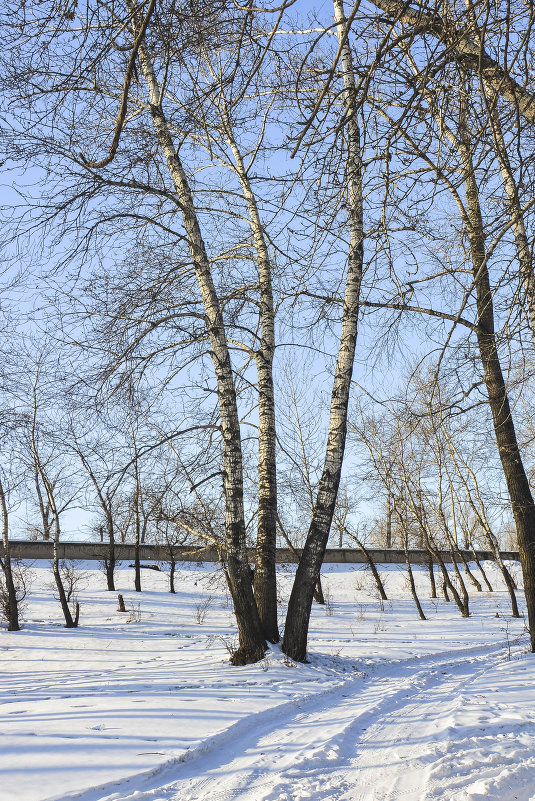 ... - юрий Амосов