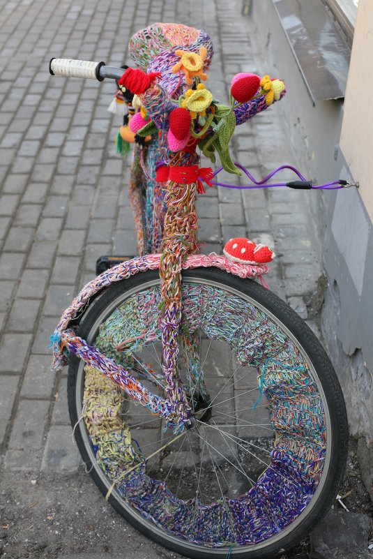 Велосипед для шкодных дам. - Анна 