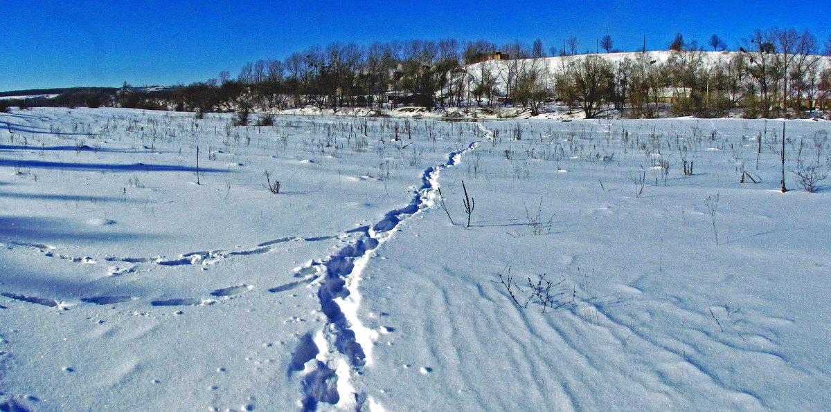 тропинка в снегу - юрий иванов