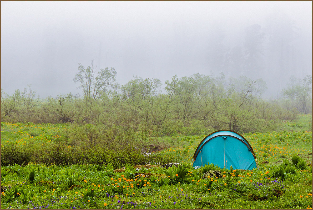 Моя палатка - Михаил Фото 