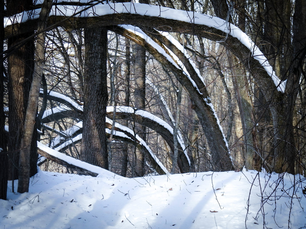 Winter - Aleksandr Khomenko