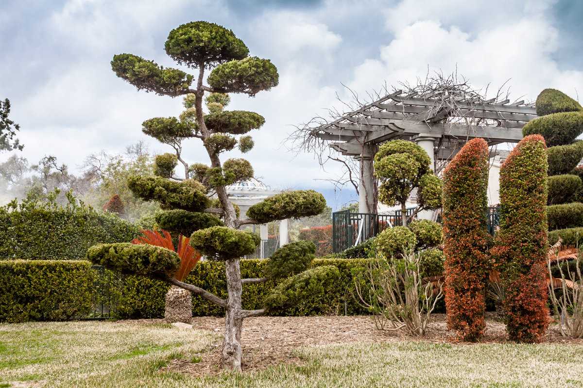 Японский сад - Александр Творогов