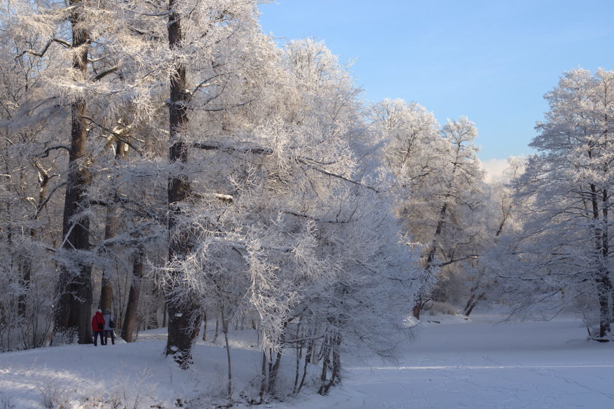 зима в парке - Андрей С