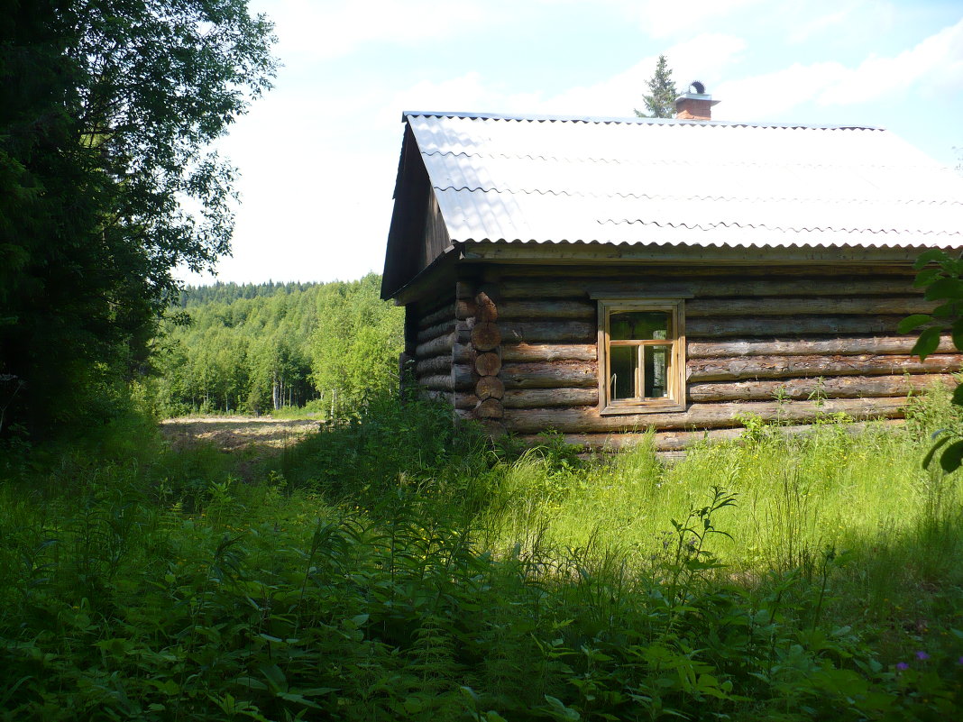 Домик в лесу - Сергей Лысков