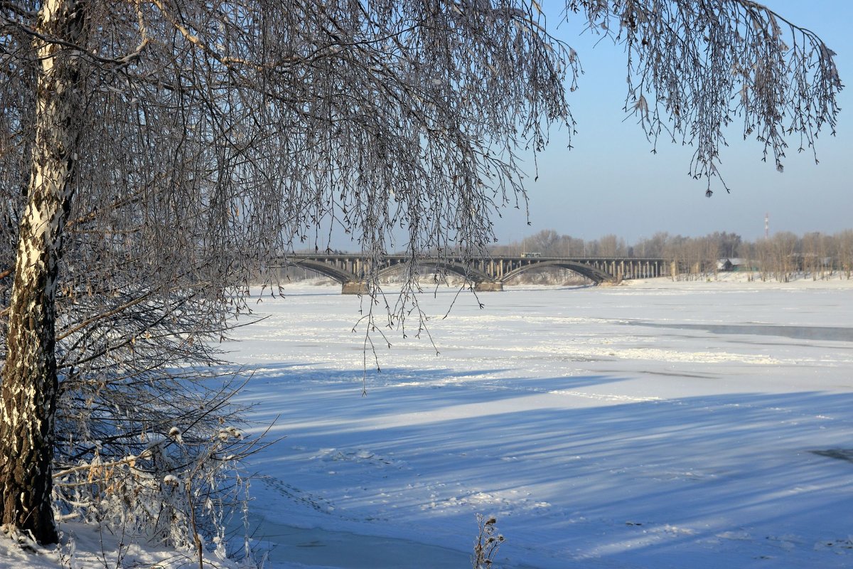 *** - Олька Никулочкина